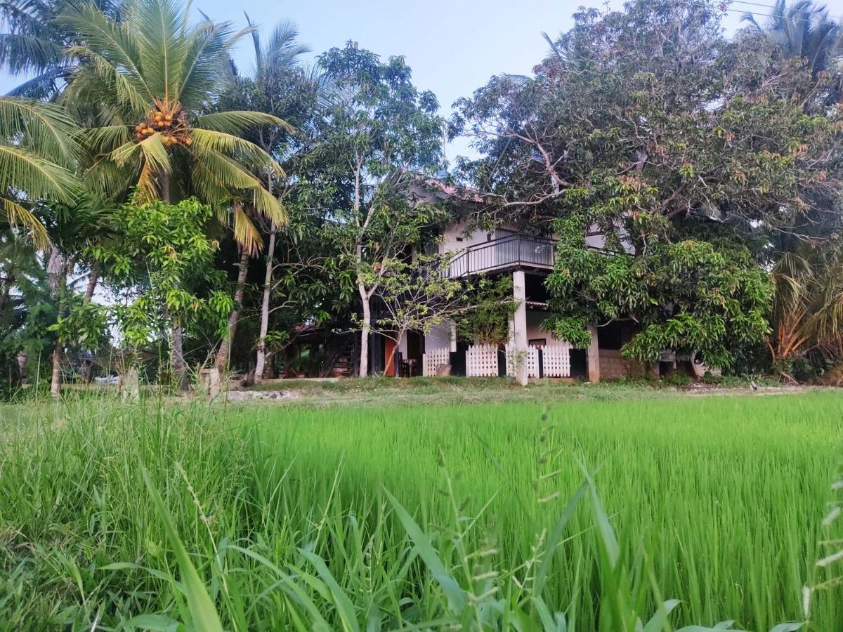 Village Mango Resort Yala Tissamaharama Exterior photo